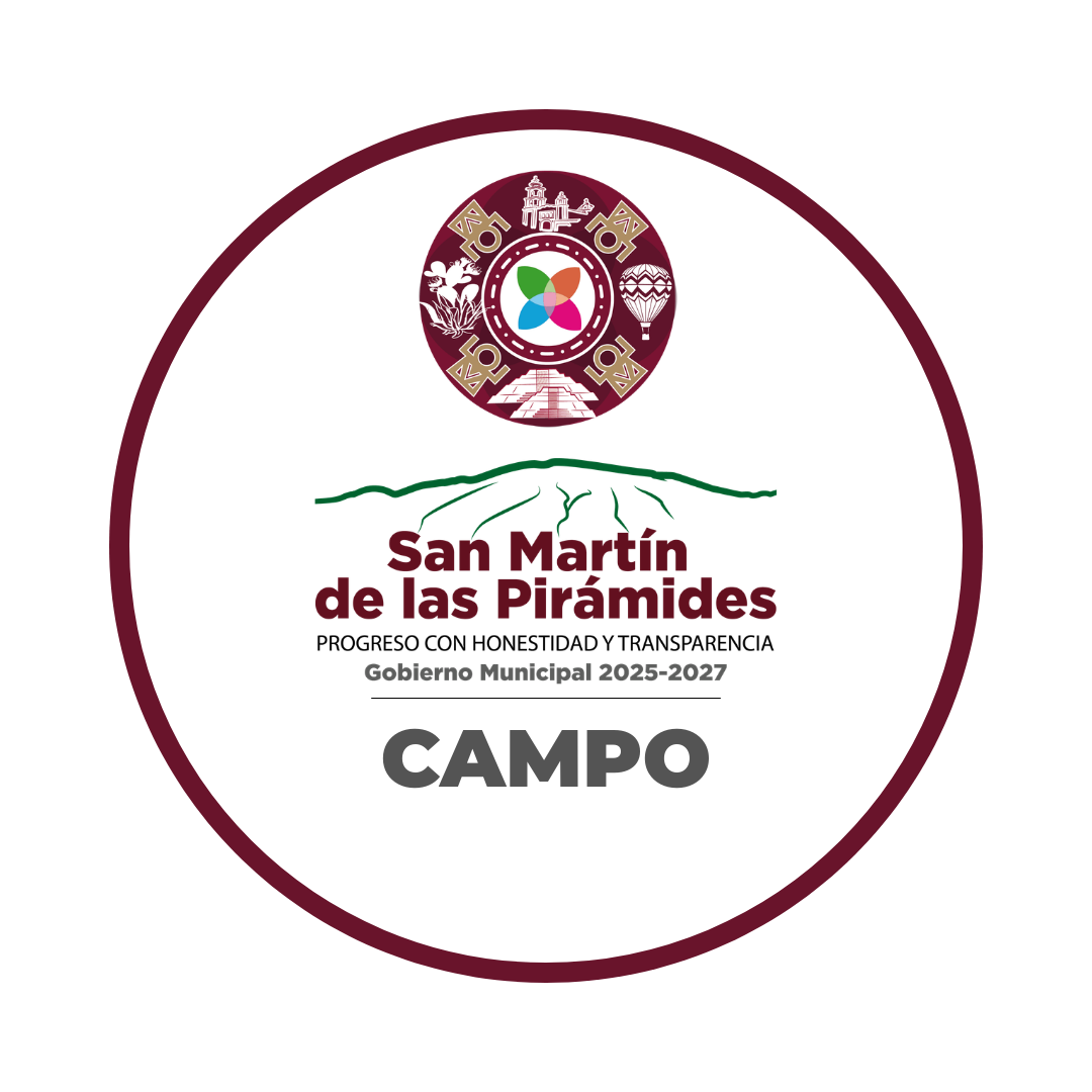 Campo